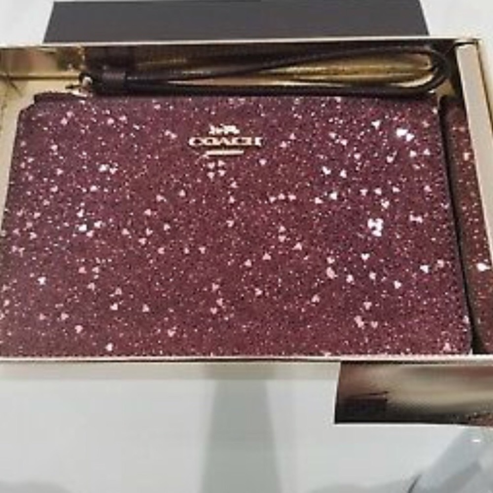 NWT Coach F39132 Boxed Small Wristlet